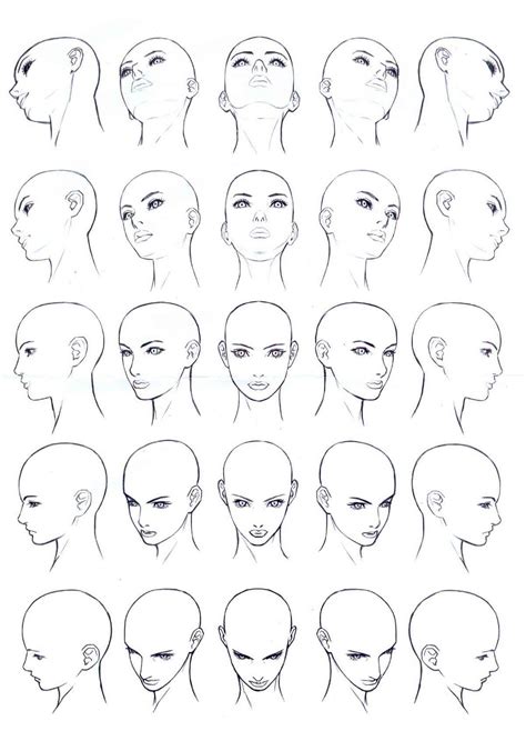 It helps you get familiar with the process and makes it easier to start off on the right foot. . Head drawing reference